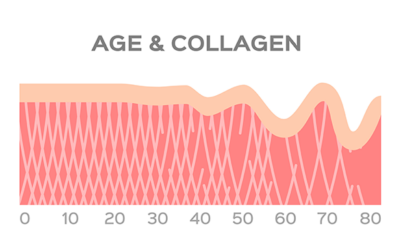 Collagen for Anti-aging?
